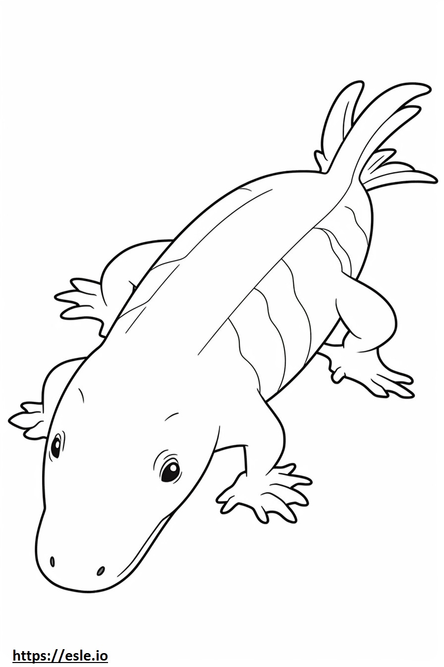 Axolotl-Ganzkörper ausmalbild