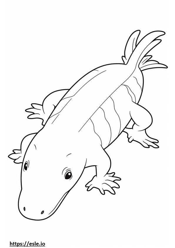 Axolotl-volledig lichaam kleurplaat