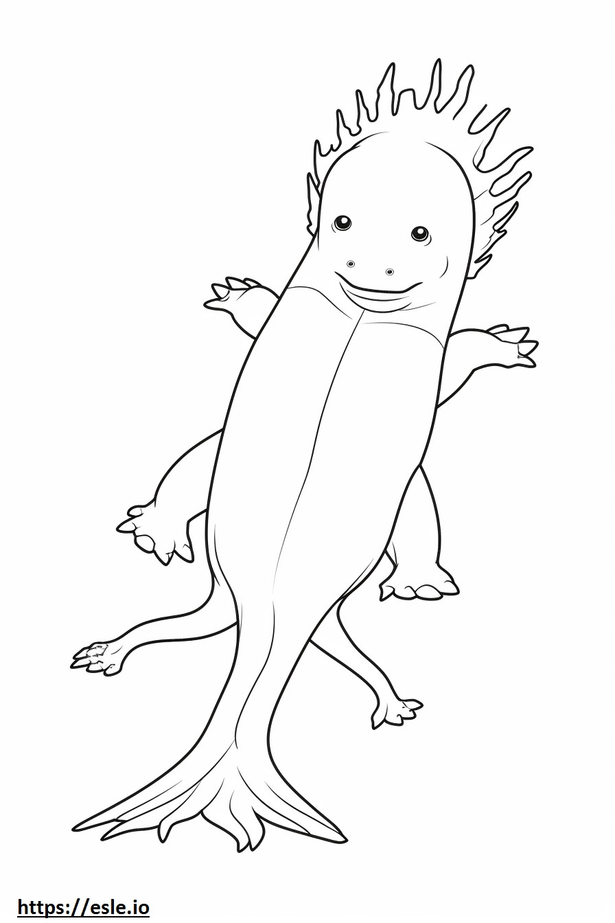 Axolotl koko vartalo värityskuva