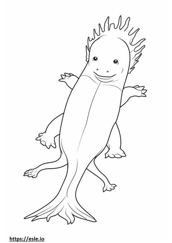 Coloriage Axolotl corps entier à imprimer