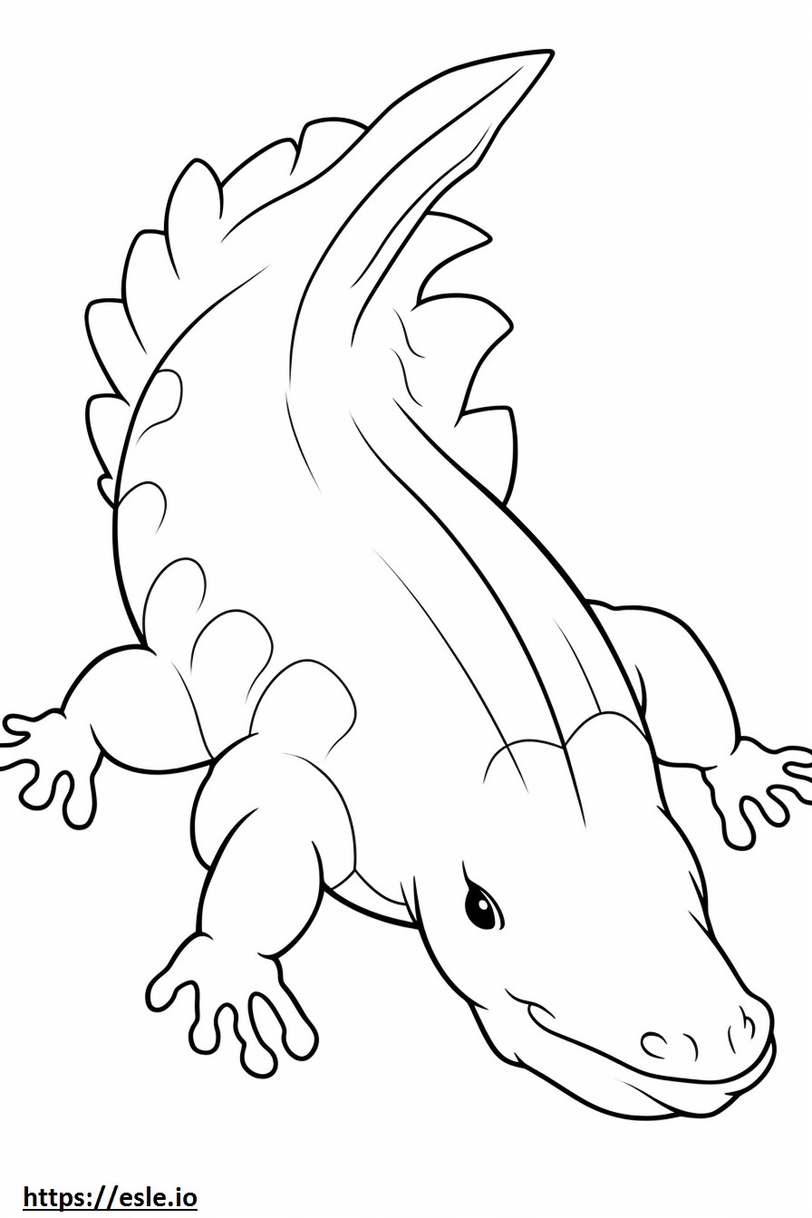 Axolotl-volledig lichaam kleurplaat kleurplaat