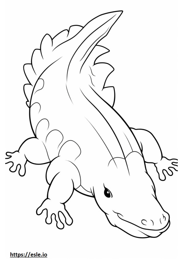 Axolotl tot corpul de colorat