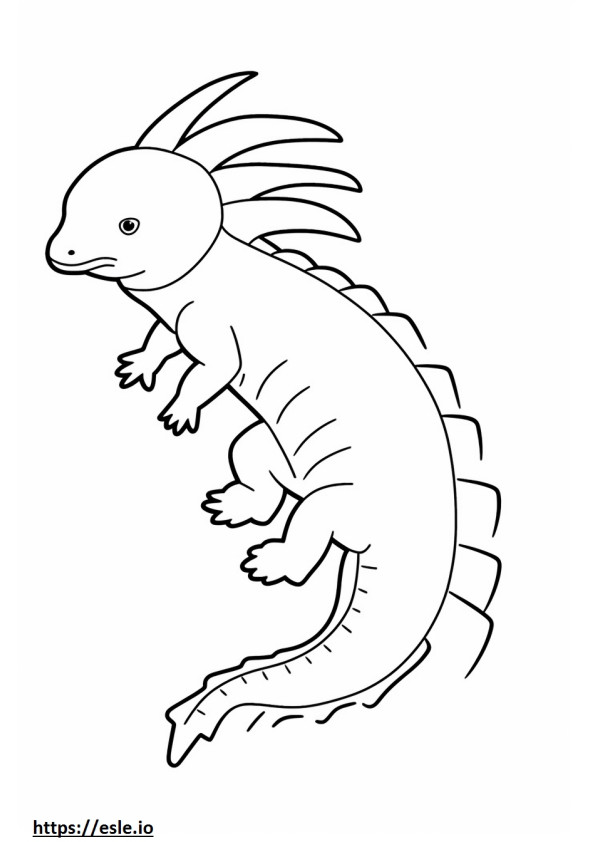 Axolotl-volledig lichaam kleurplaat