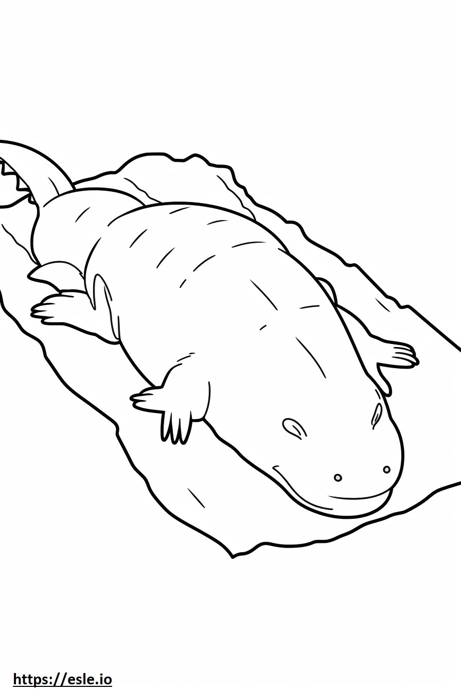 Axolotl addormentato da colorare