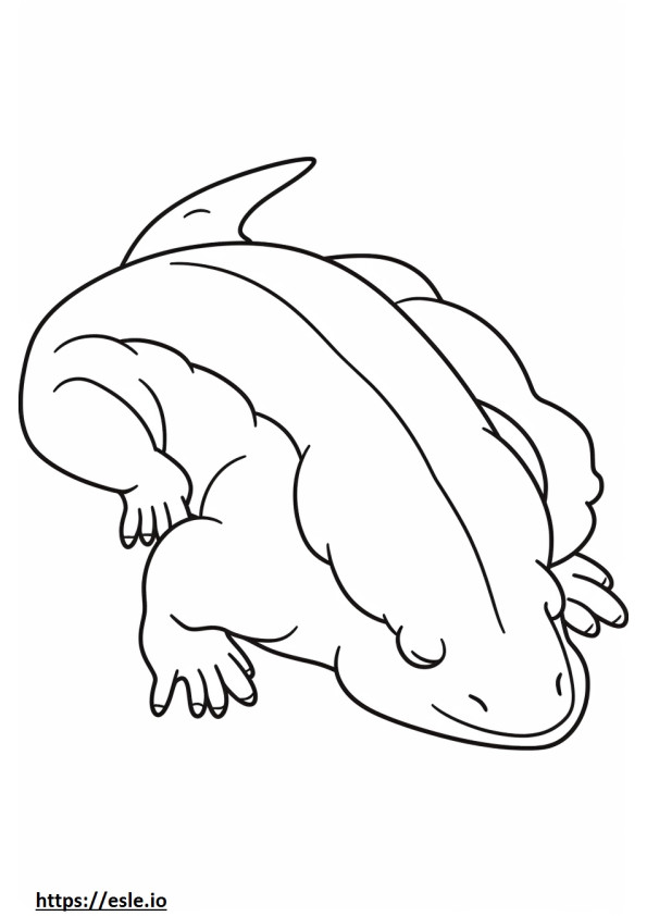 Axolotl nukkuu värityskuva