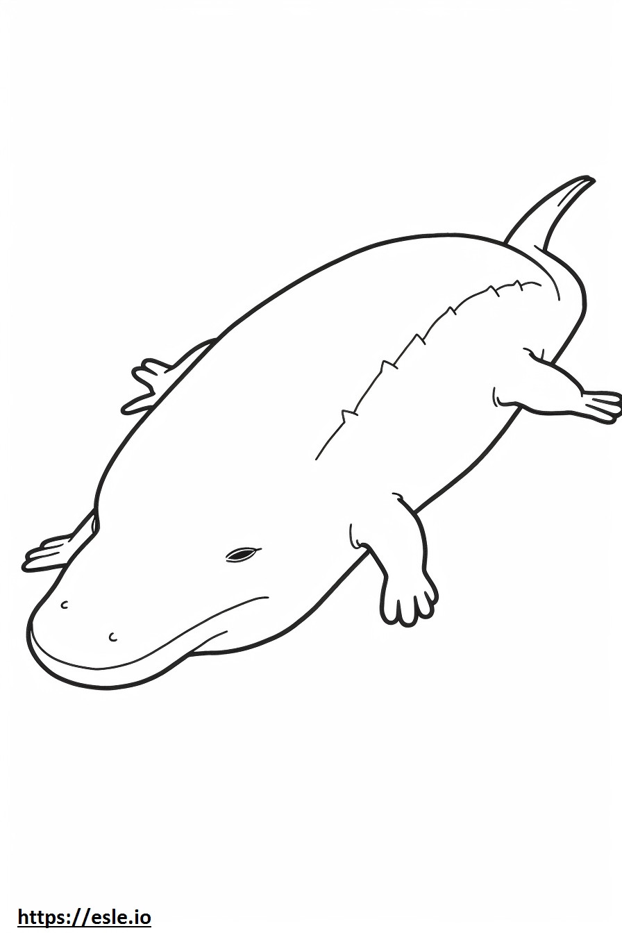 Axolotl slaapt kleurplaat kleurplaat
