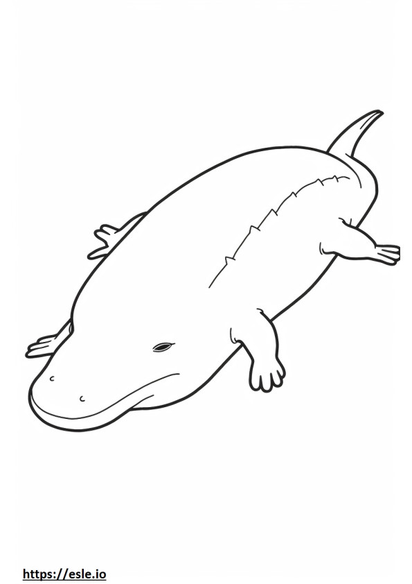 Axolotl schläft ausmalbild