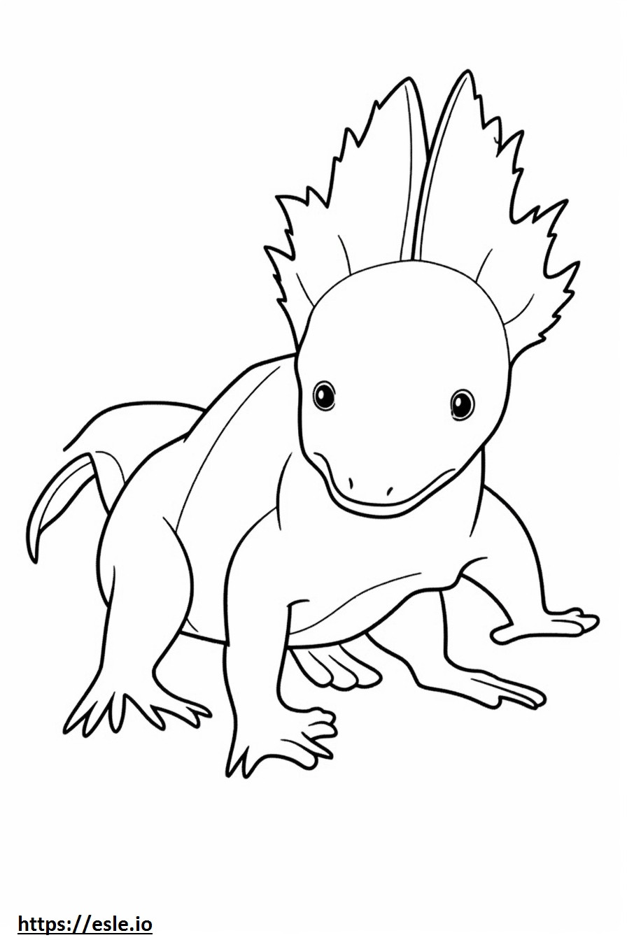 Axolotl joacă de colorat
