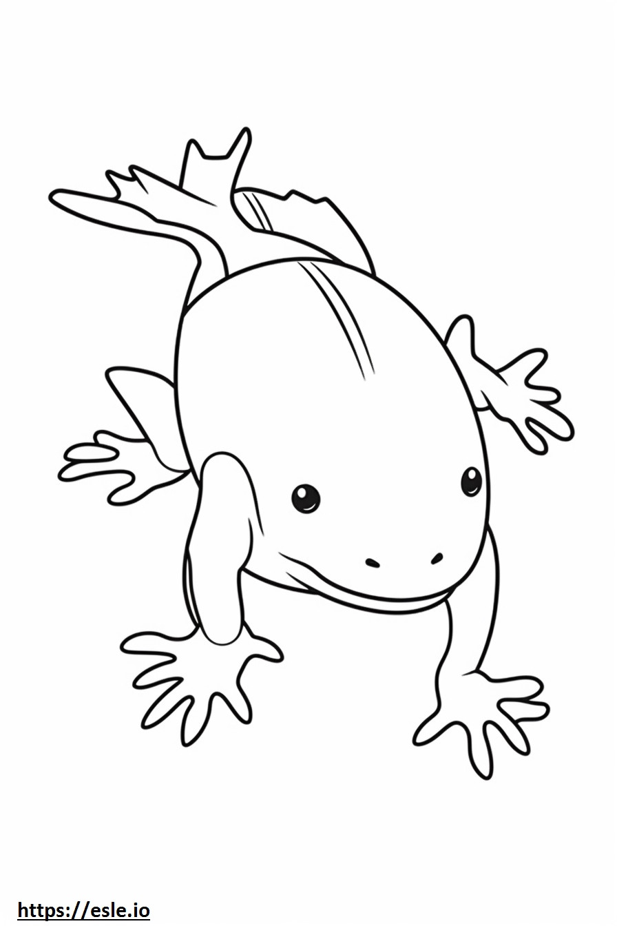 Axolotl freundlich ausmalbild