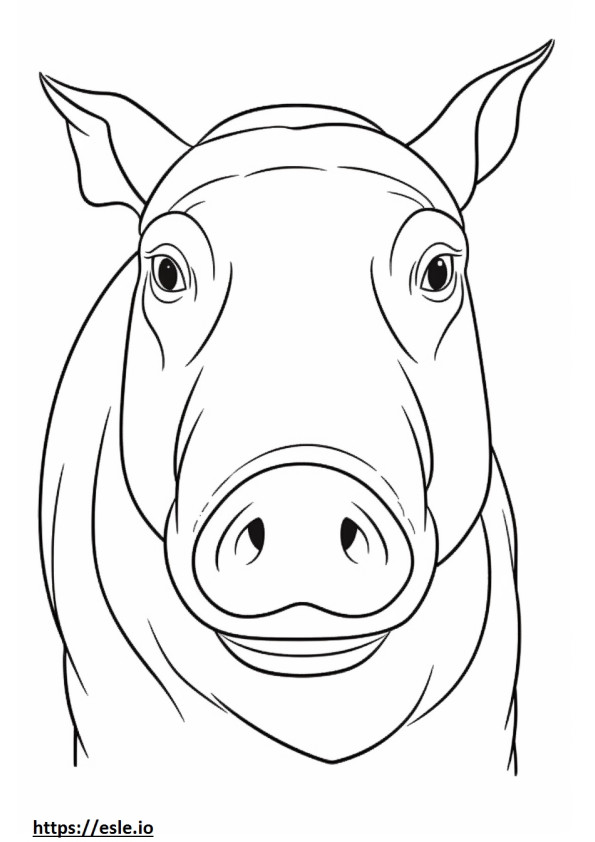 Babirusa face coloring page