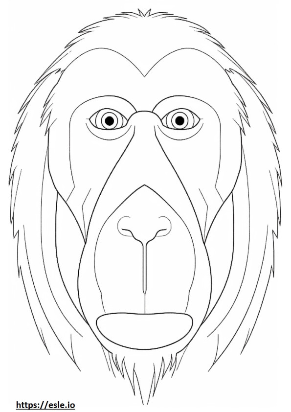 Cara de babuíno para colorir