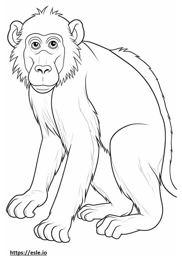Baboon baby coloring page