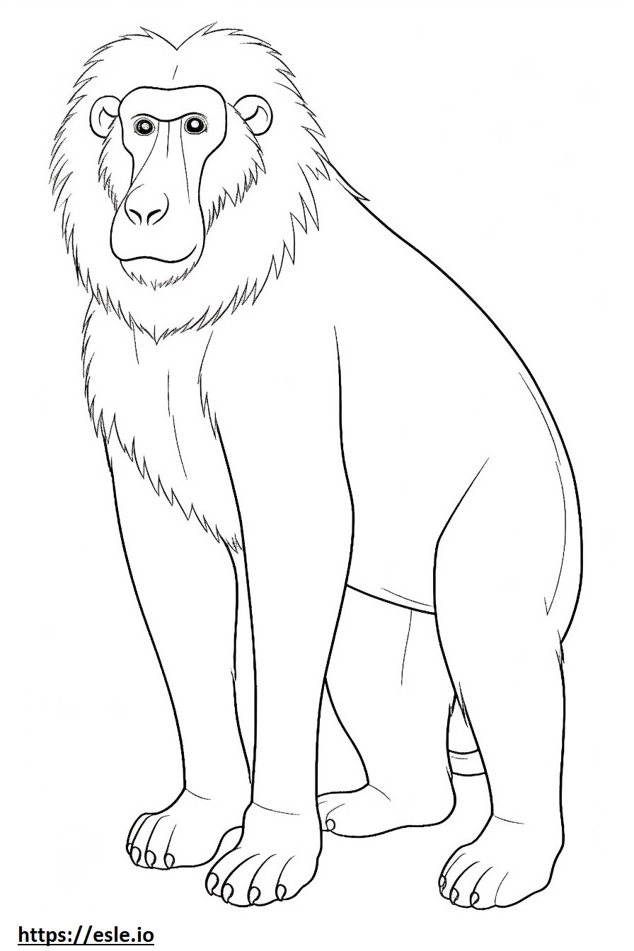 Desen animat cu babuin de colorat
