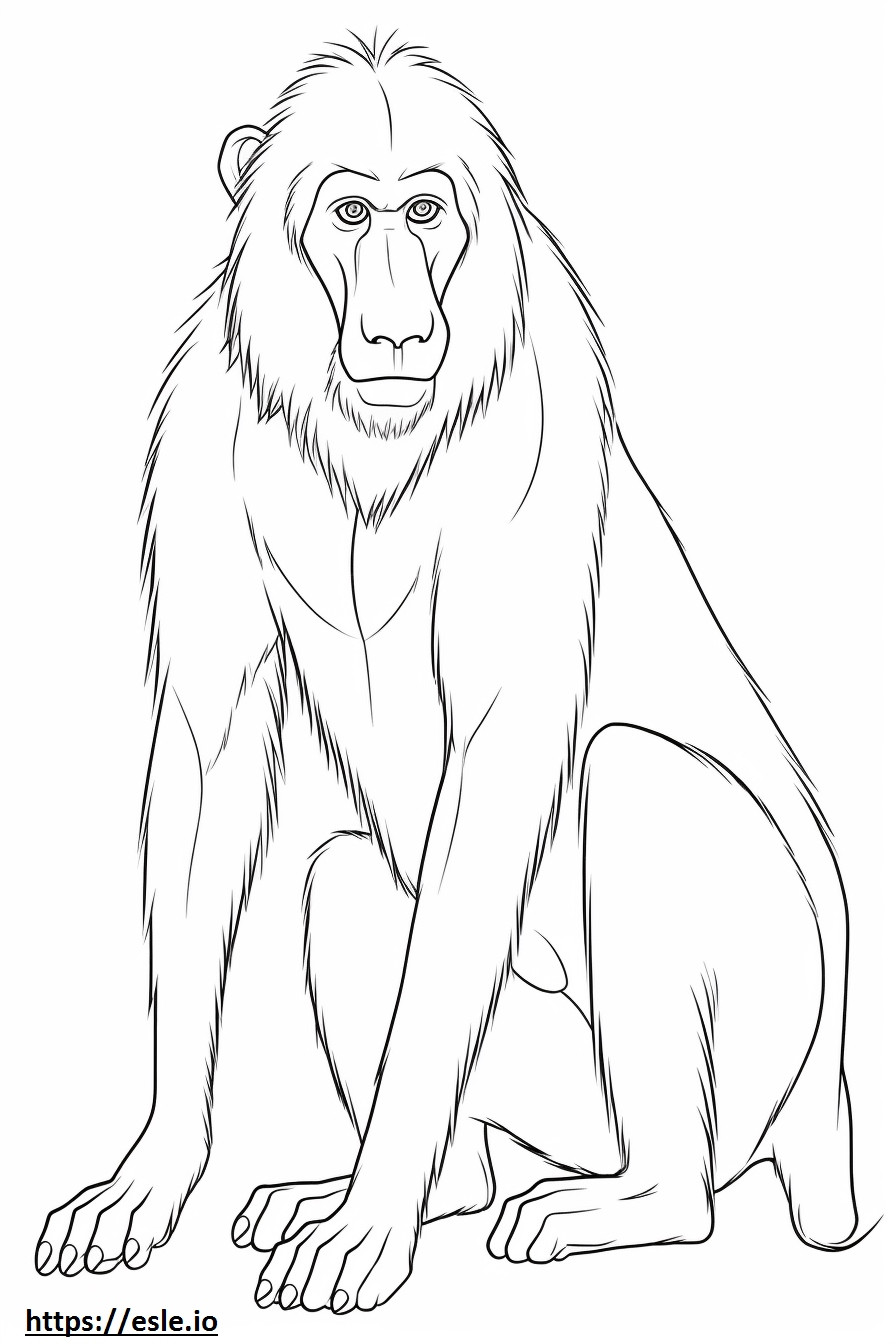 Desenho de babuíno para colorir