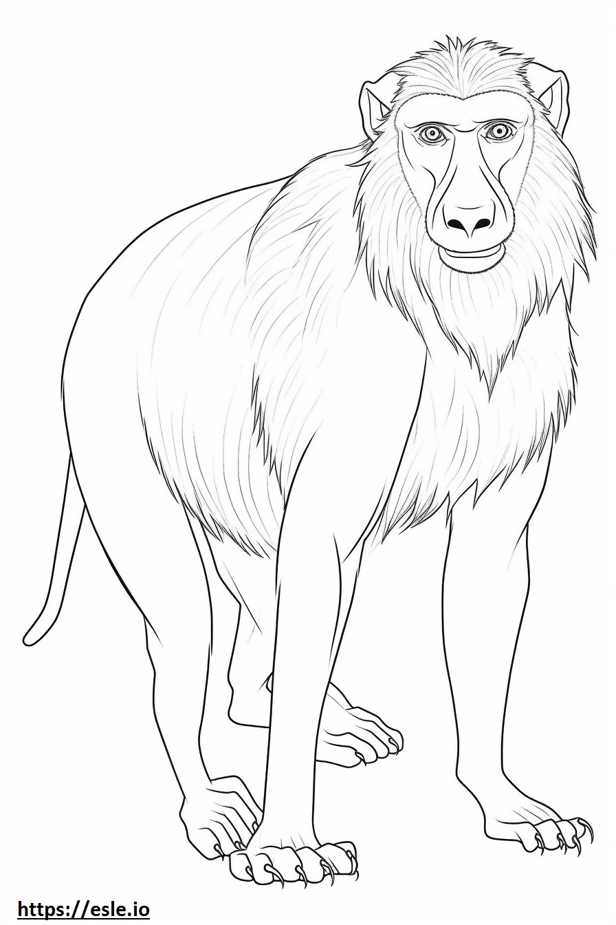 Baboon cute coloring page
