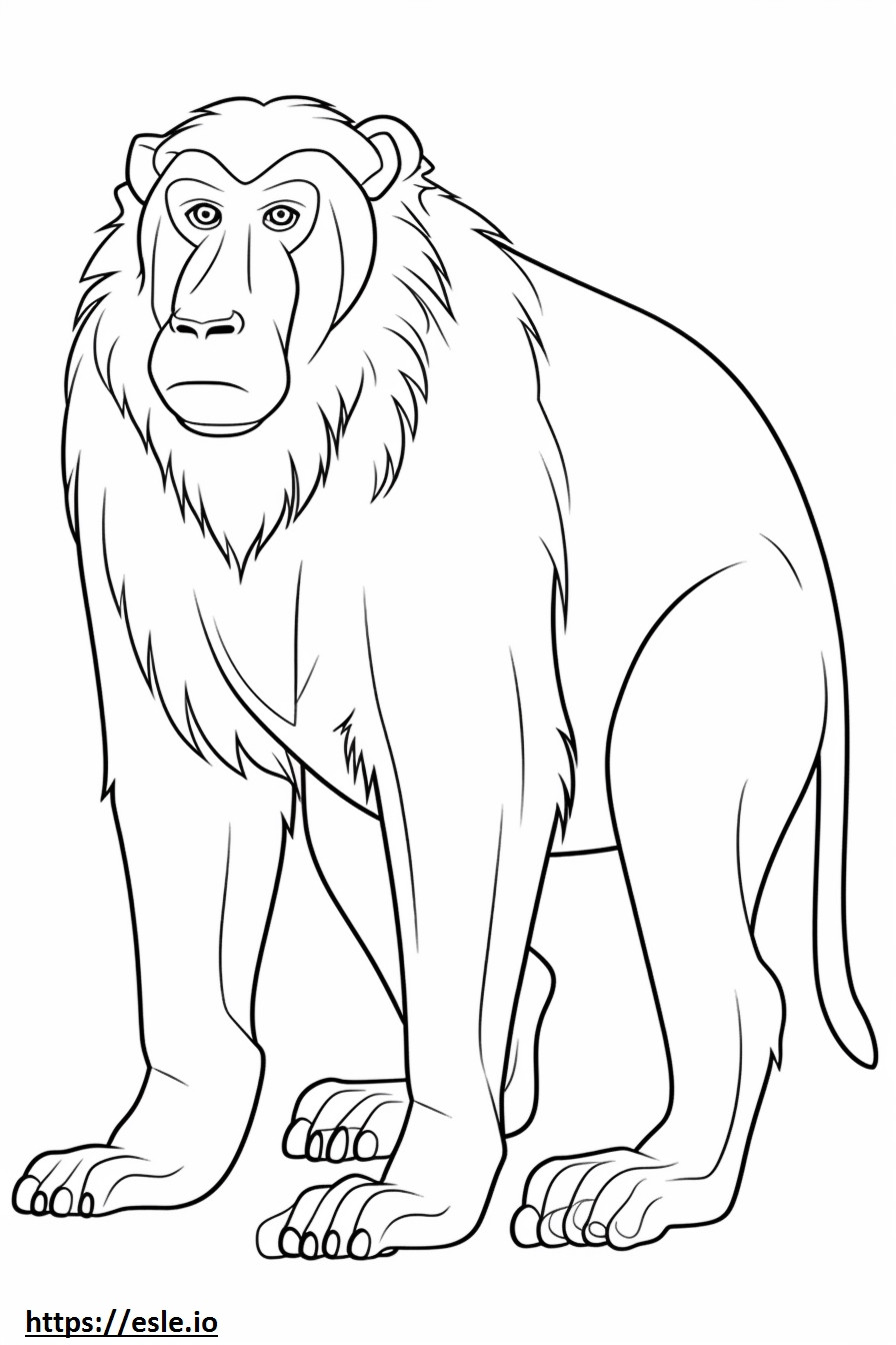 Baboon cute coloring page