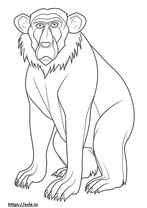 Baboon happy coloring page