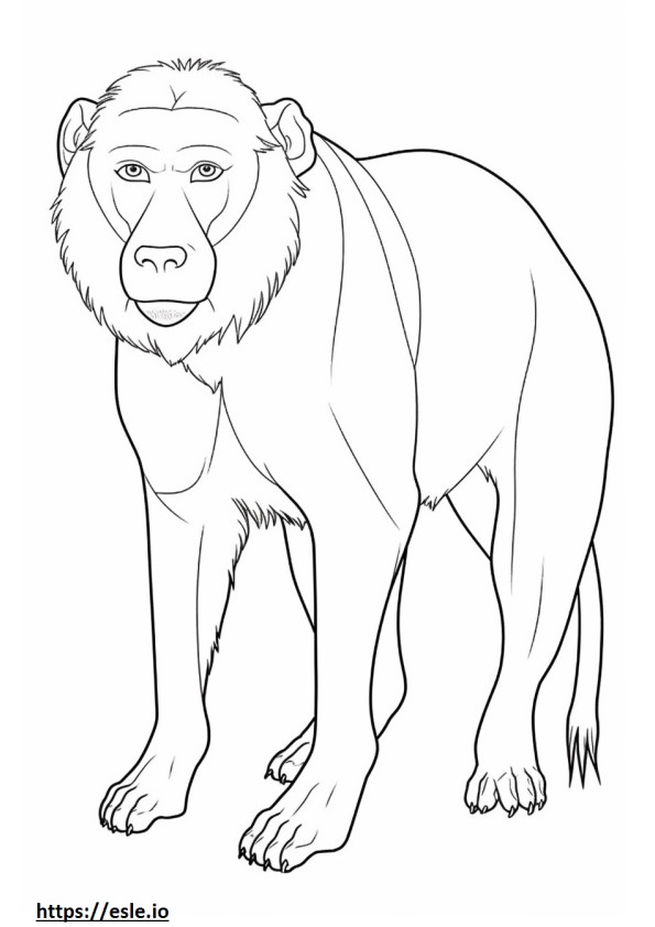 Baboon happy coloring page