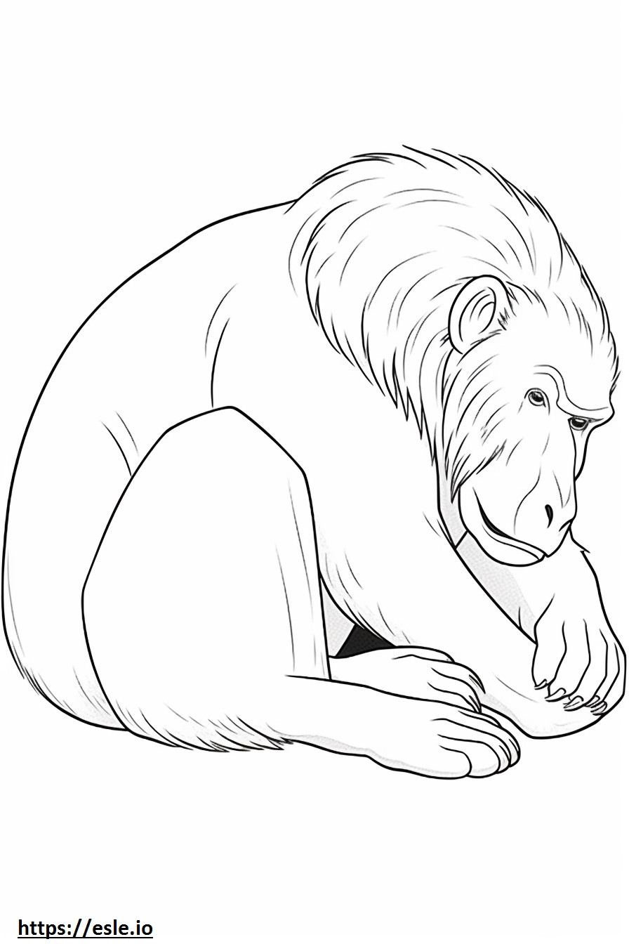 Baboon Sleeping coloring page