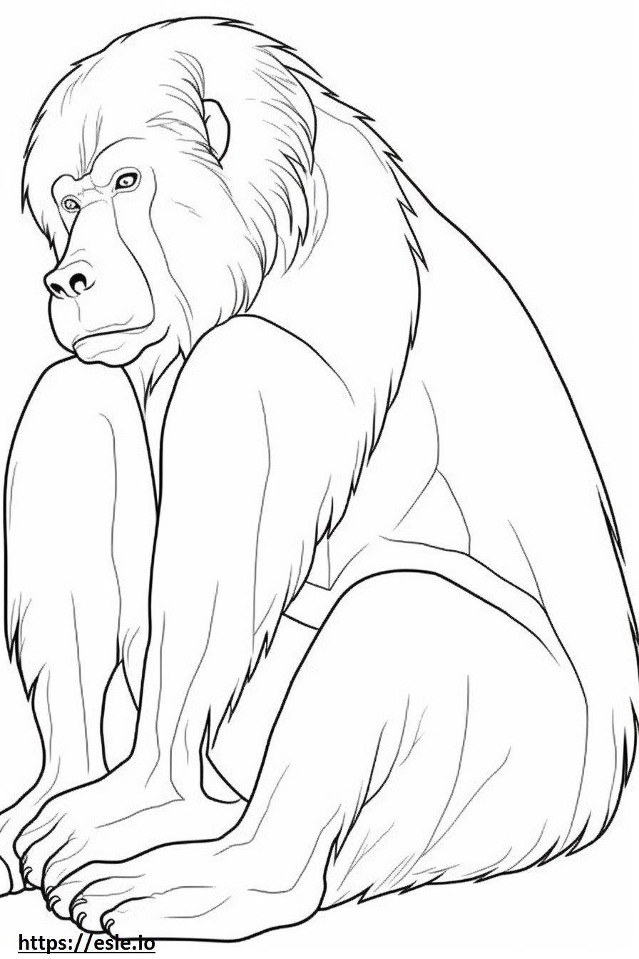 babuino durmiendo para colorear e imprimir