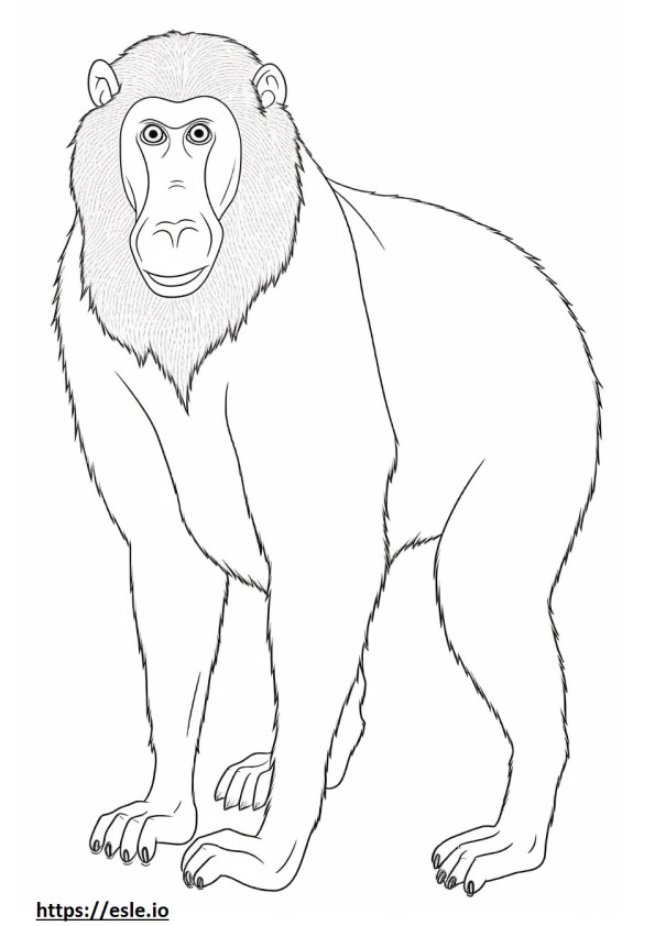 Baboon Friendly coloring page