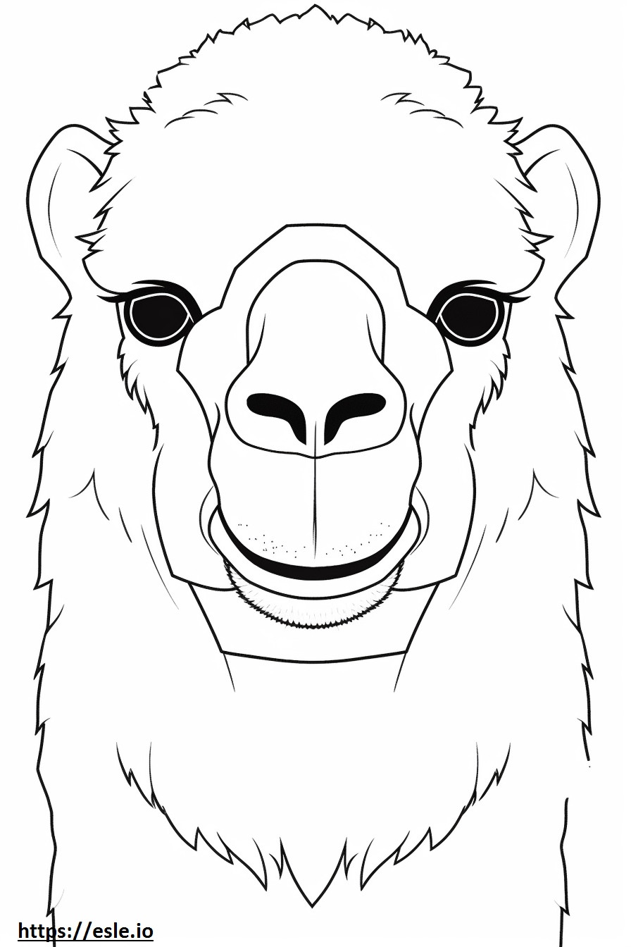 Bactrian Camel face coloring page