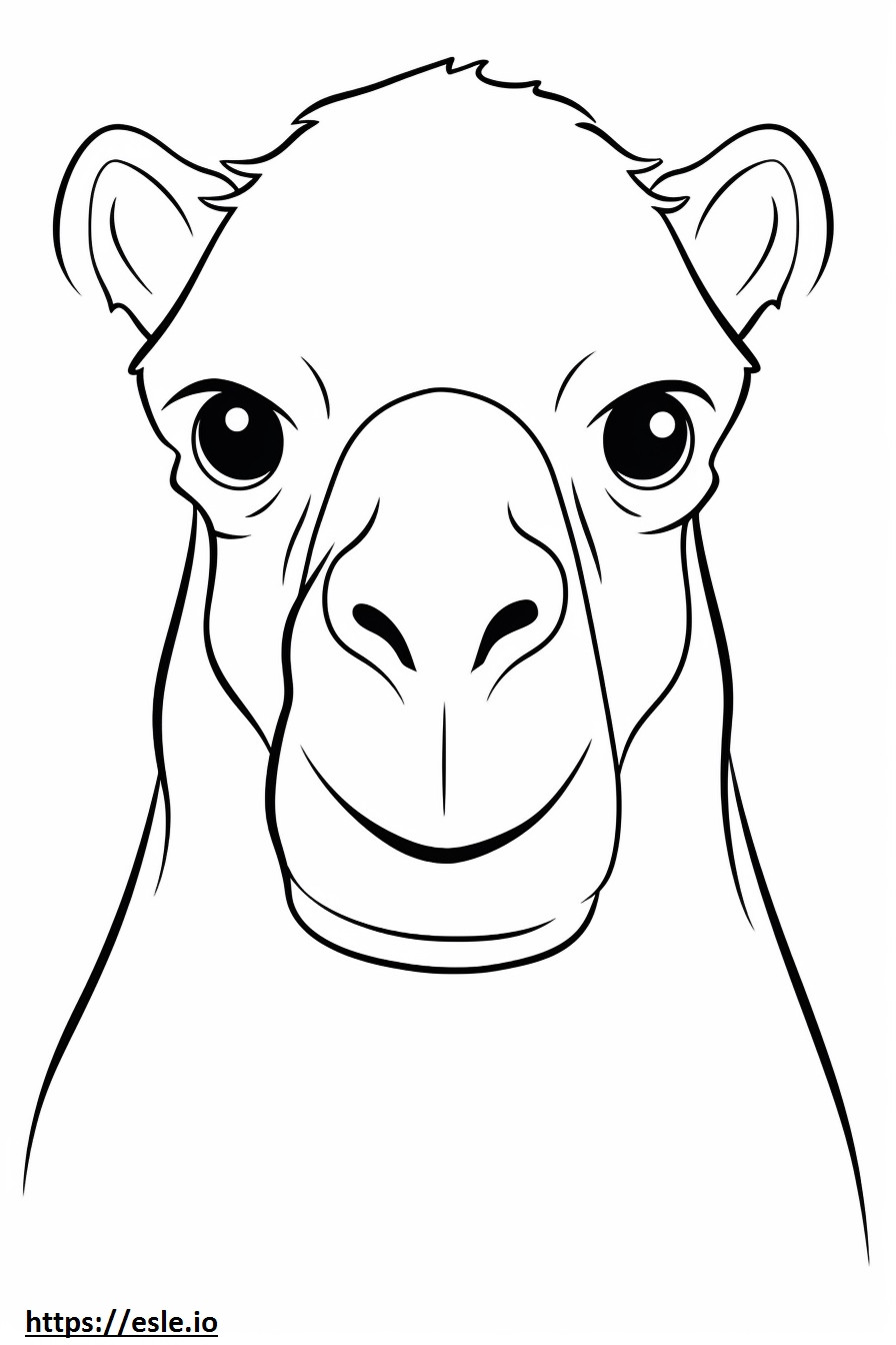 Coloriage Visage de chameau de Bactriane à imprimer