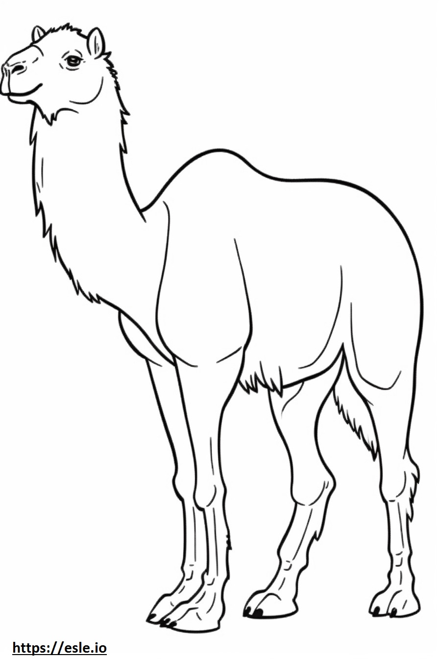 Bactrian Camel full body coloring page