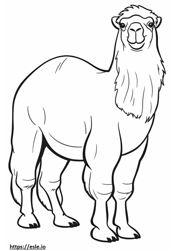 Corpo inteiro de camelo bactriano para colorir