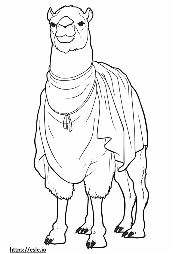 Camello Bactriano cuerpo entero para colorear e imprimir