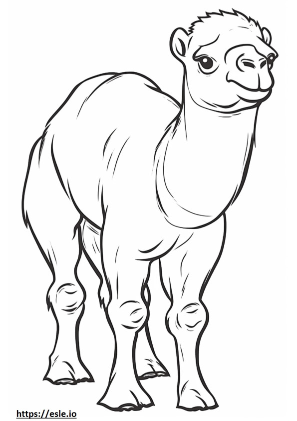 Bebê camelo bactriano para colorir