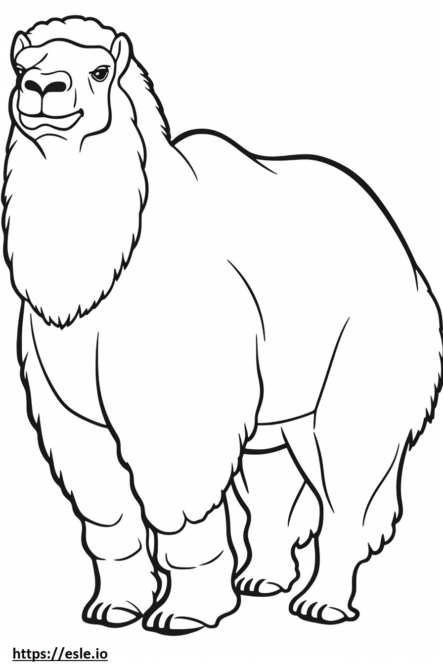 Bactrian Camel całe ciało kolorowanka