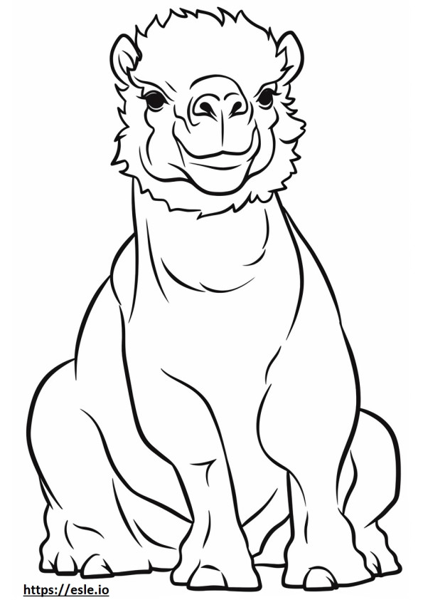 Bactrian Camel baby coloring page