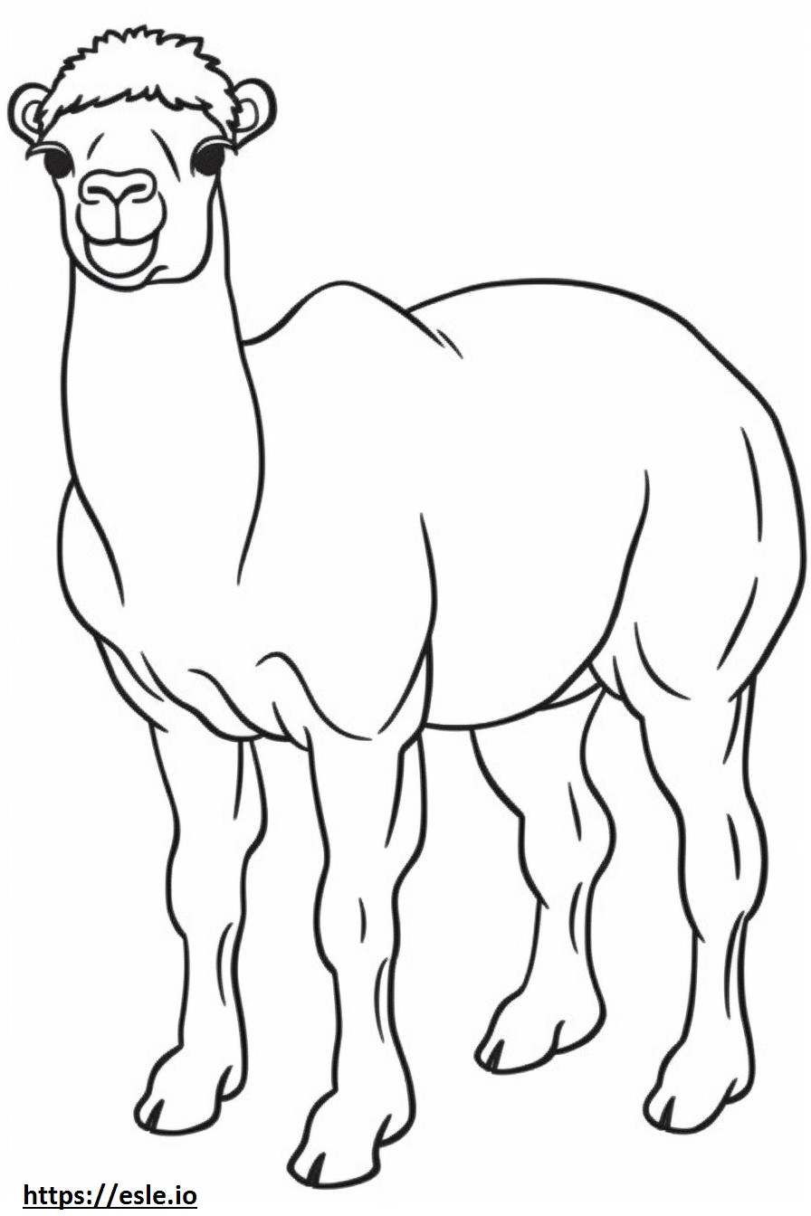 Bebê camelo bactriano para colorir