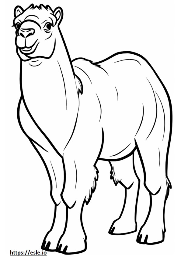Bactrian Camel cartoon coloring page