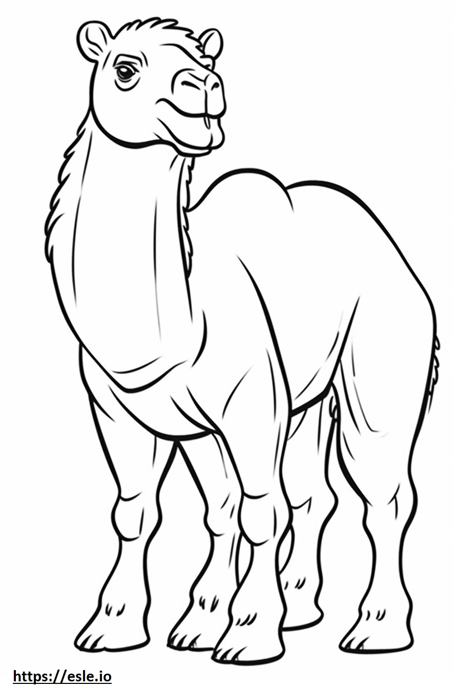 Bactrian Camel sarjakuva värityskuva