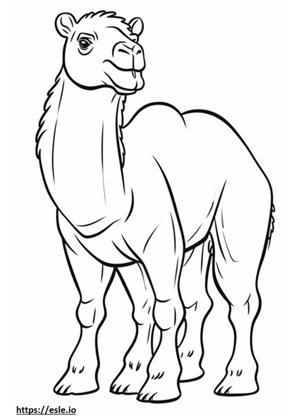 Dibujos animados de camello bactriano para colorear e imprimir
