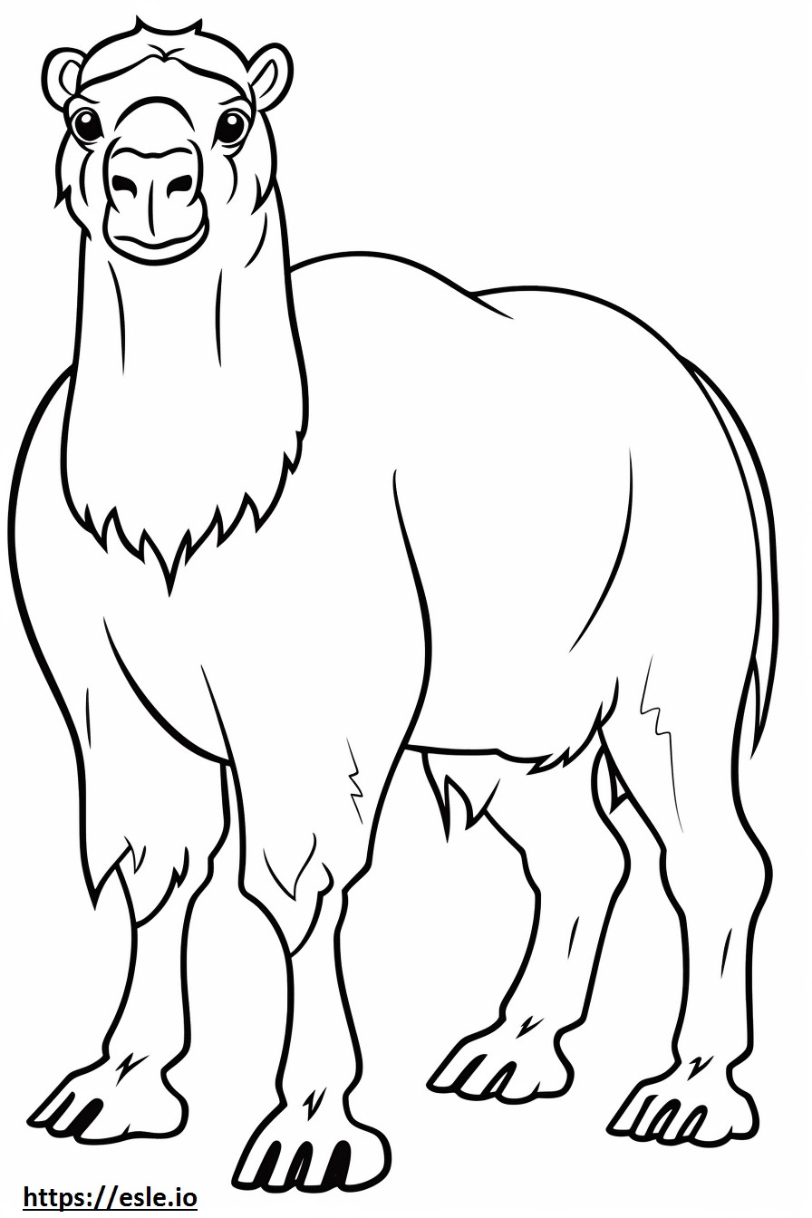 Bactrian deve karikatür boyama
