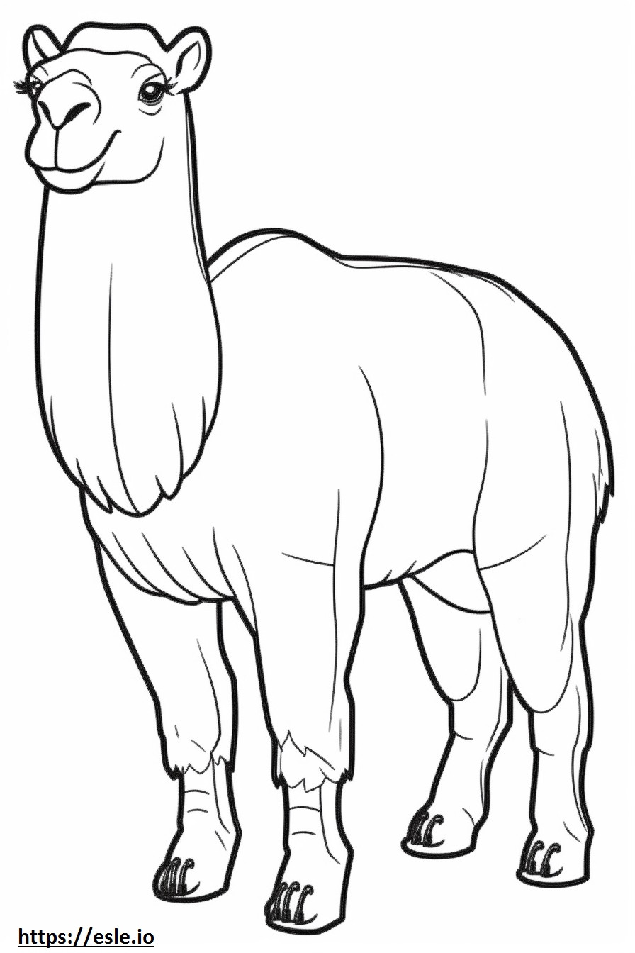 Camelo Bactriano fofo para colorir
