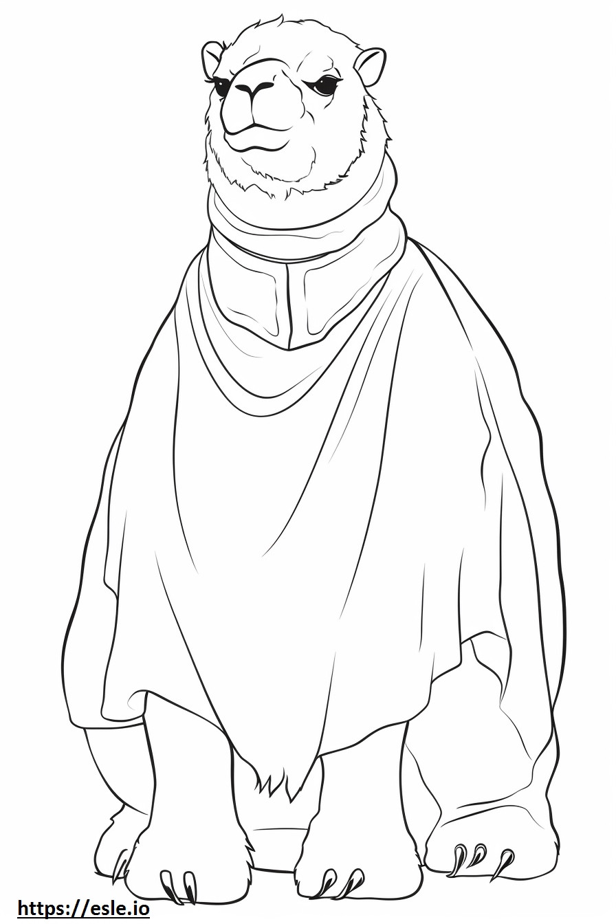 Bactrian Camel onnellinen värityskuva