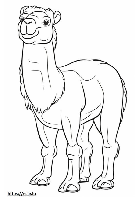 Camello Bactriano feliz para colorear e imprimir