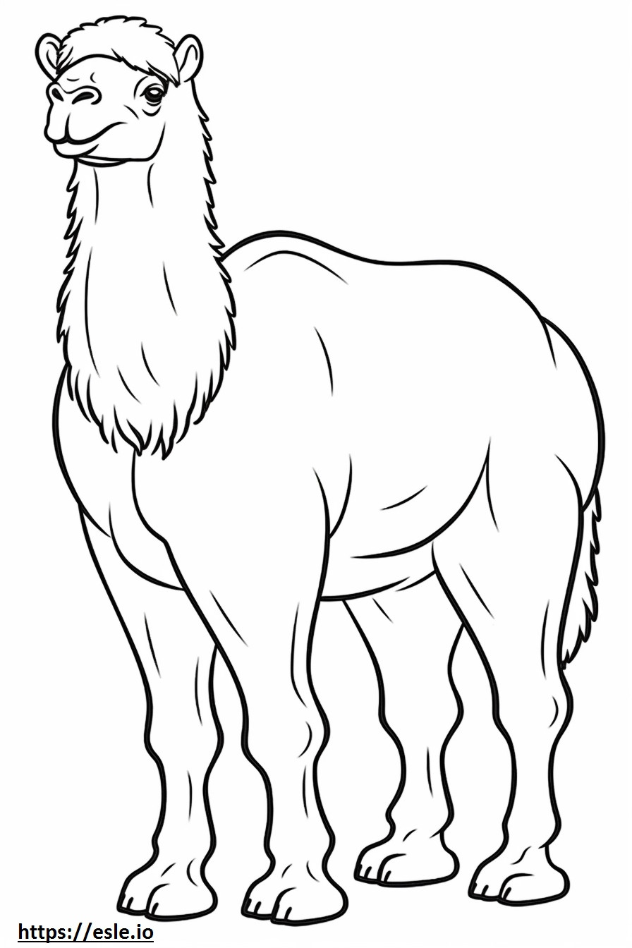 Camello Bactriano lindo para colorear e imprimir