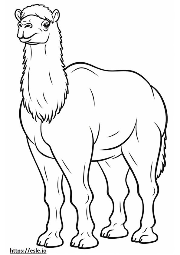 Camela Bactriană drăguță de colorat