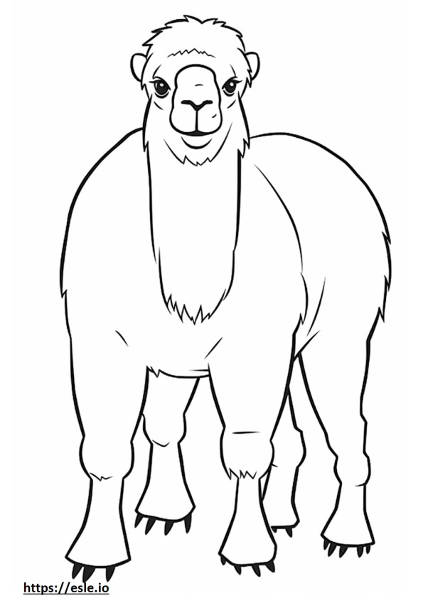 Camelo Bactriano fofo para colorir