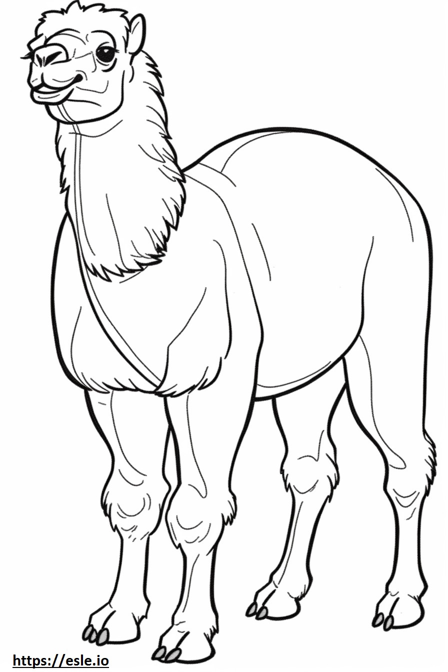 Camelo Bactriano feliz para colorir