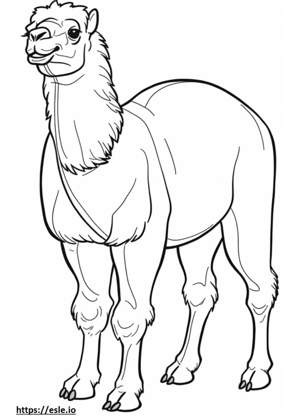 Bactrian Camel onnellinen värityskuva