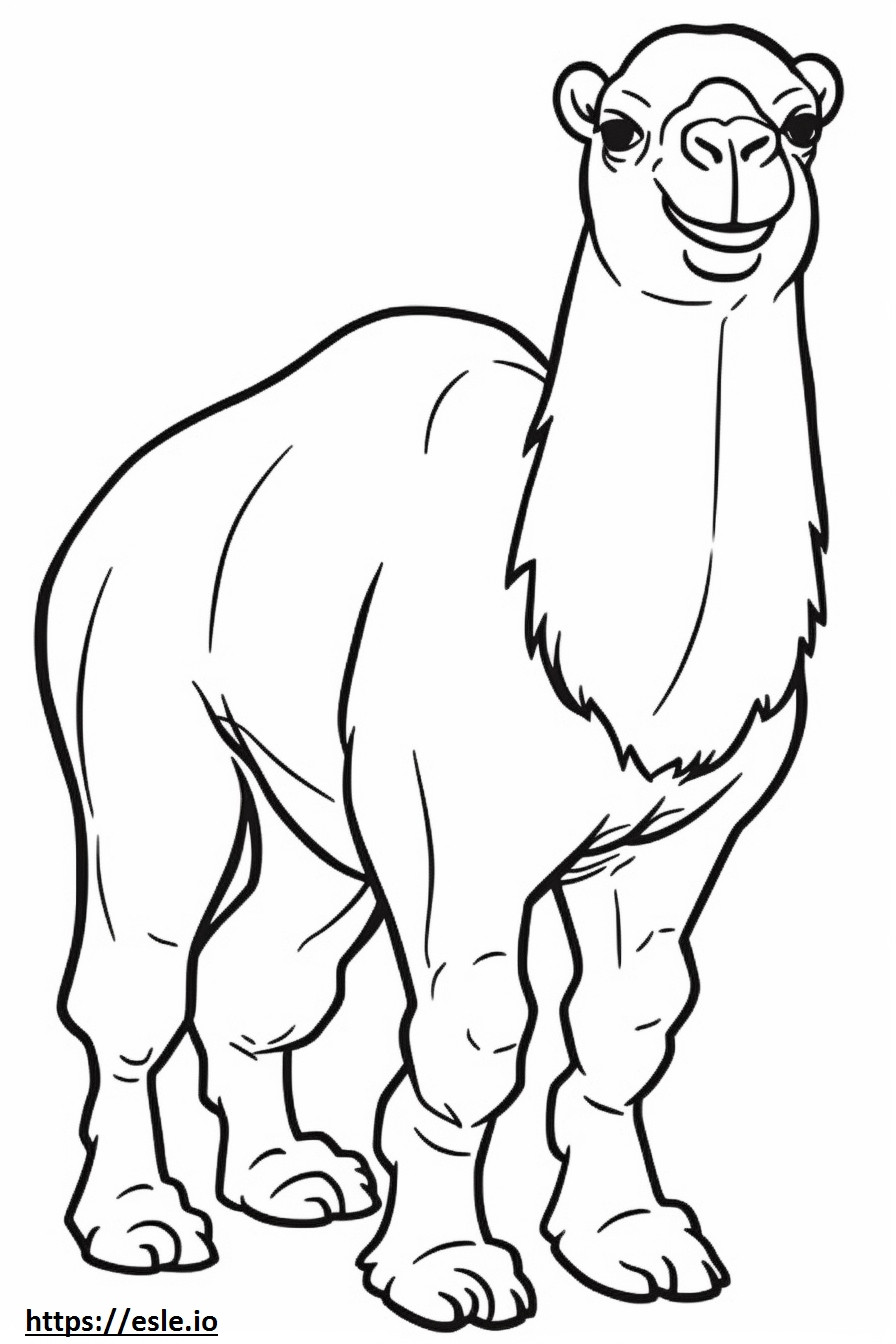 Bactrian Camel Playing coloring page