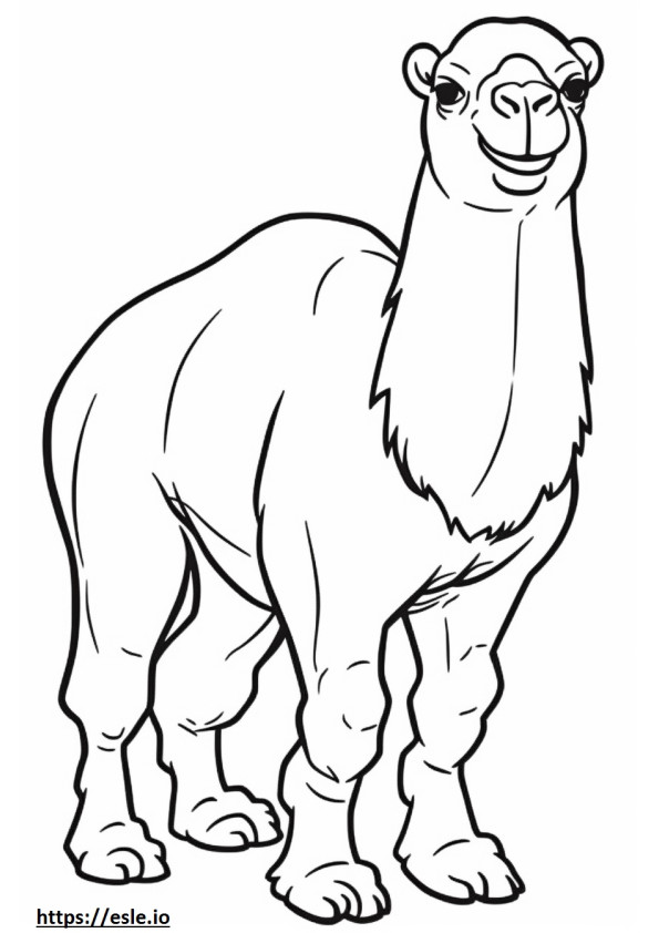 Camelo Bactriano brincando para colorir
