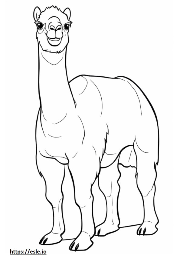 Bactrian Camel Playing coloring page