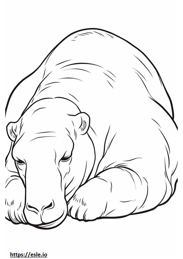 Camello Bactriano durmiendo para colorear e imprimir